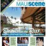 Maui Scene
